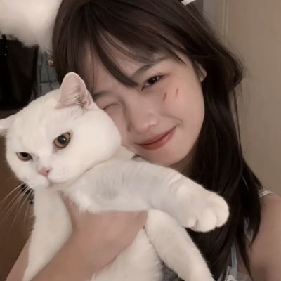 苍茫之境九游客户端下载